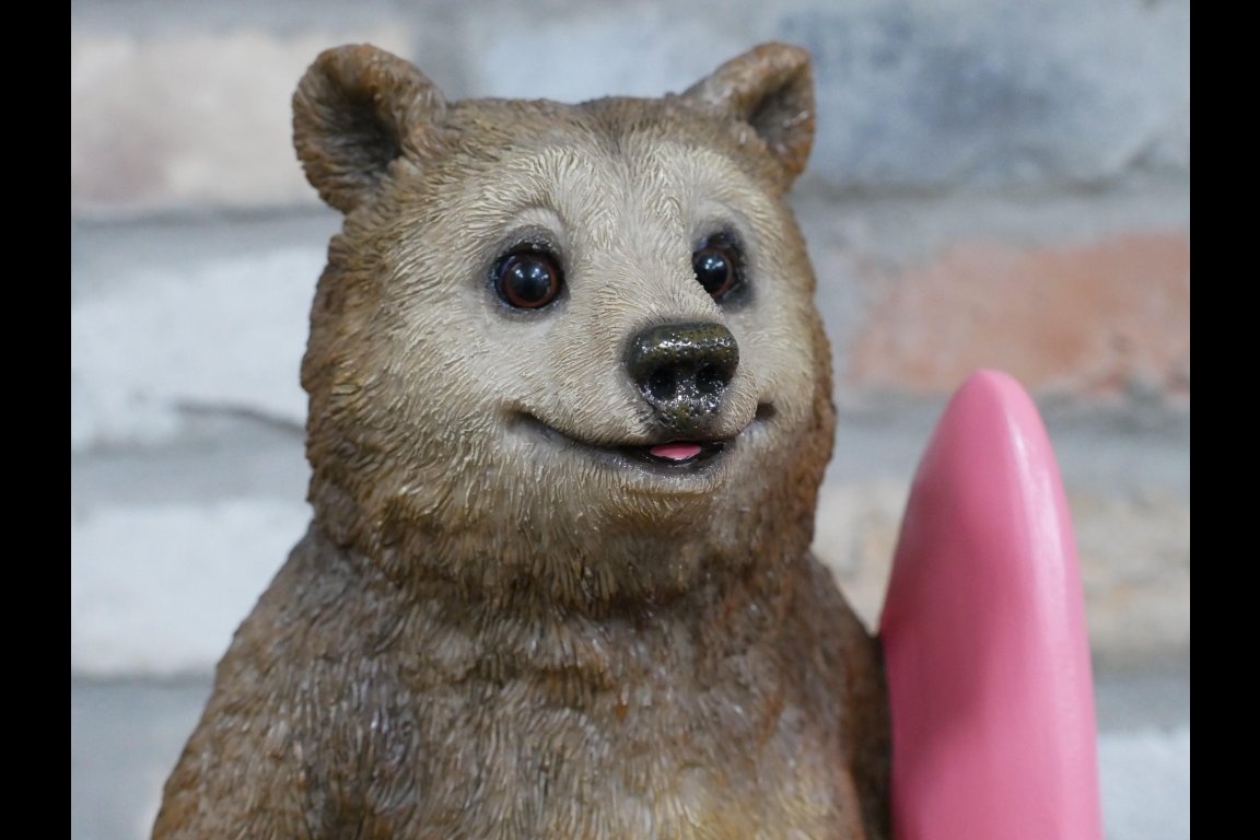 Bear With Surfboard