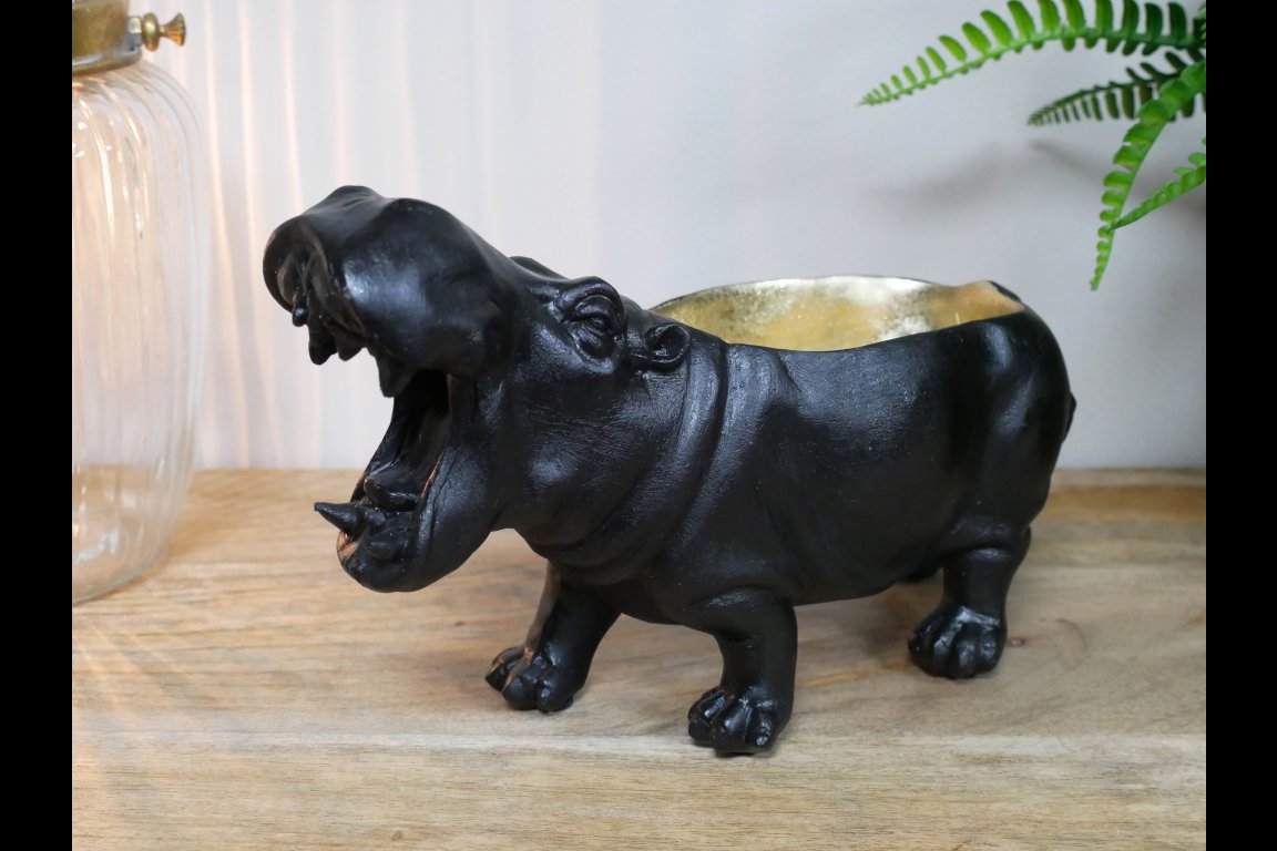 Hippo Dish