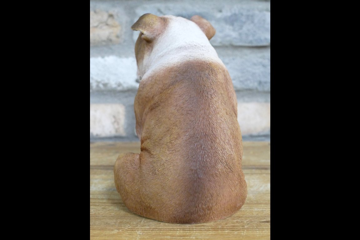 Bulldog