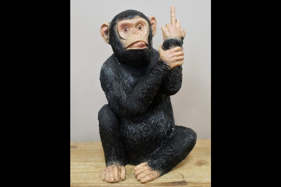 Up Yours Monkey - Medium