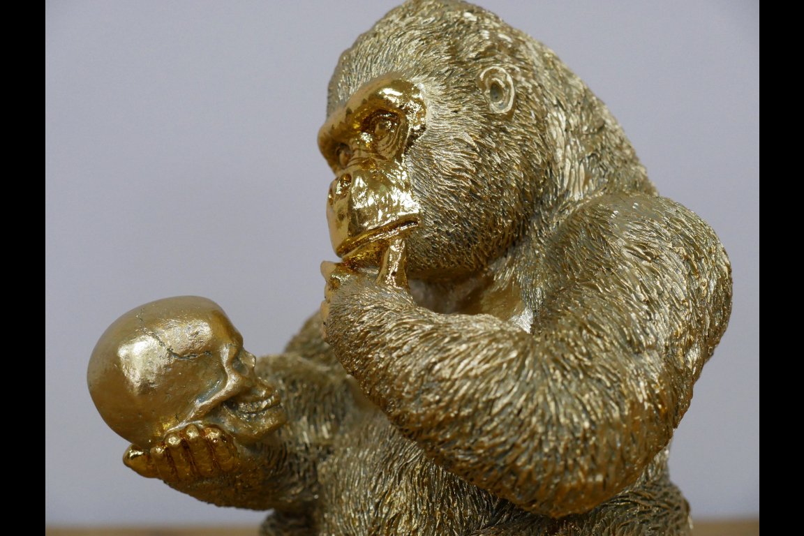 Thinking Gorilla