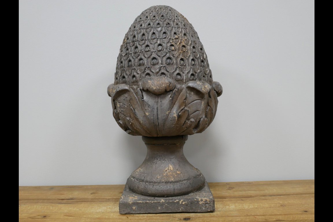 Acorn