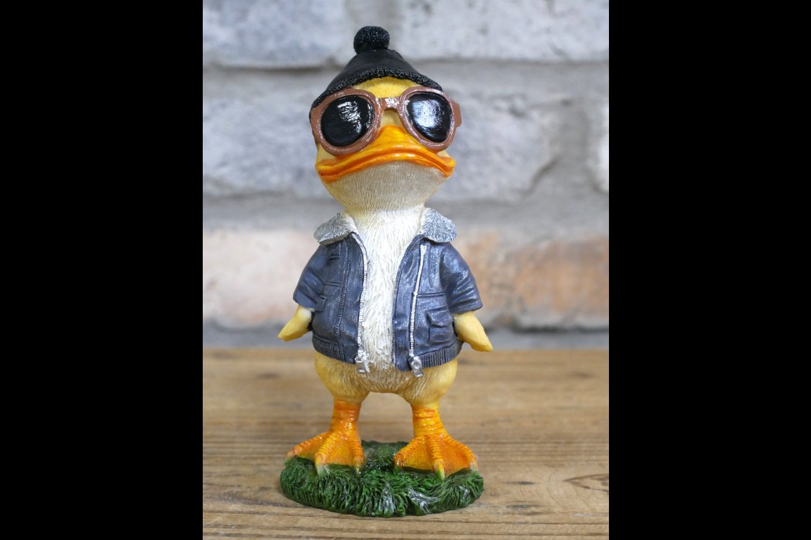 Cool Duck