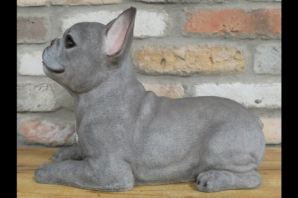 Laying Dog (Frenchie)