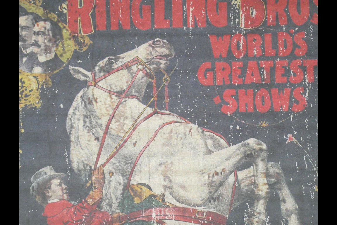 Canvas Wall Art - Horse