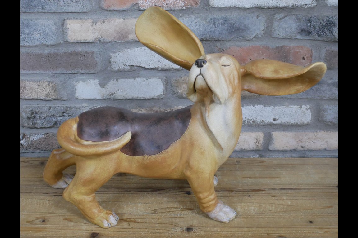 Big Ears Dog