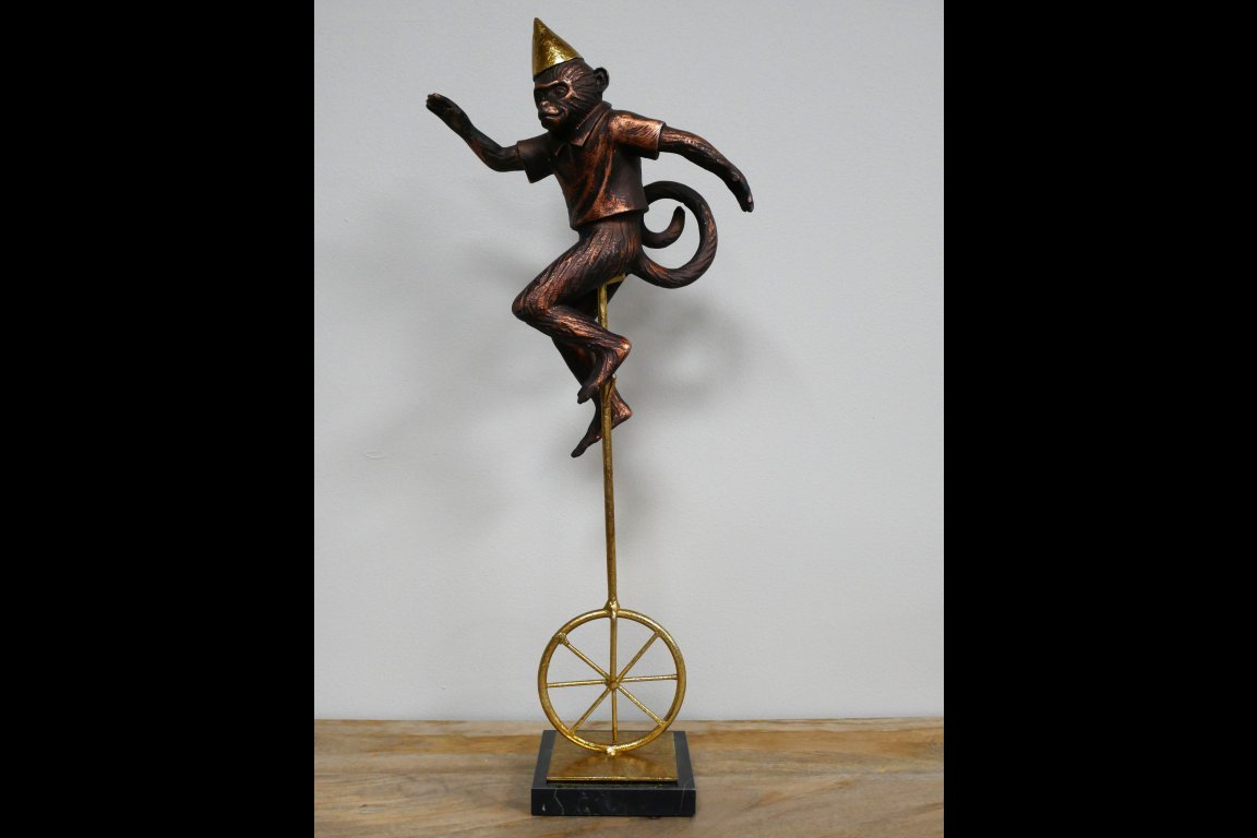 Monkey On Unicycle