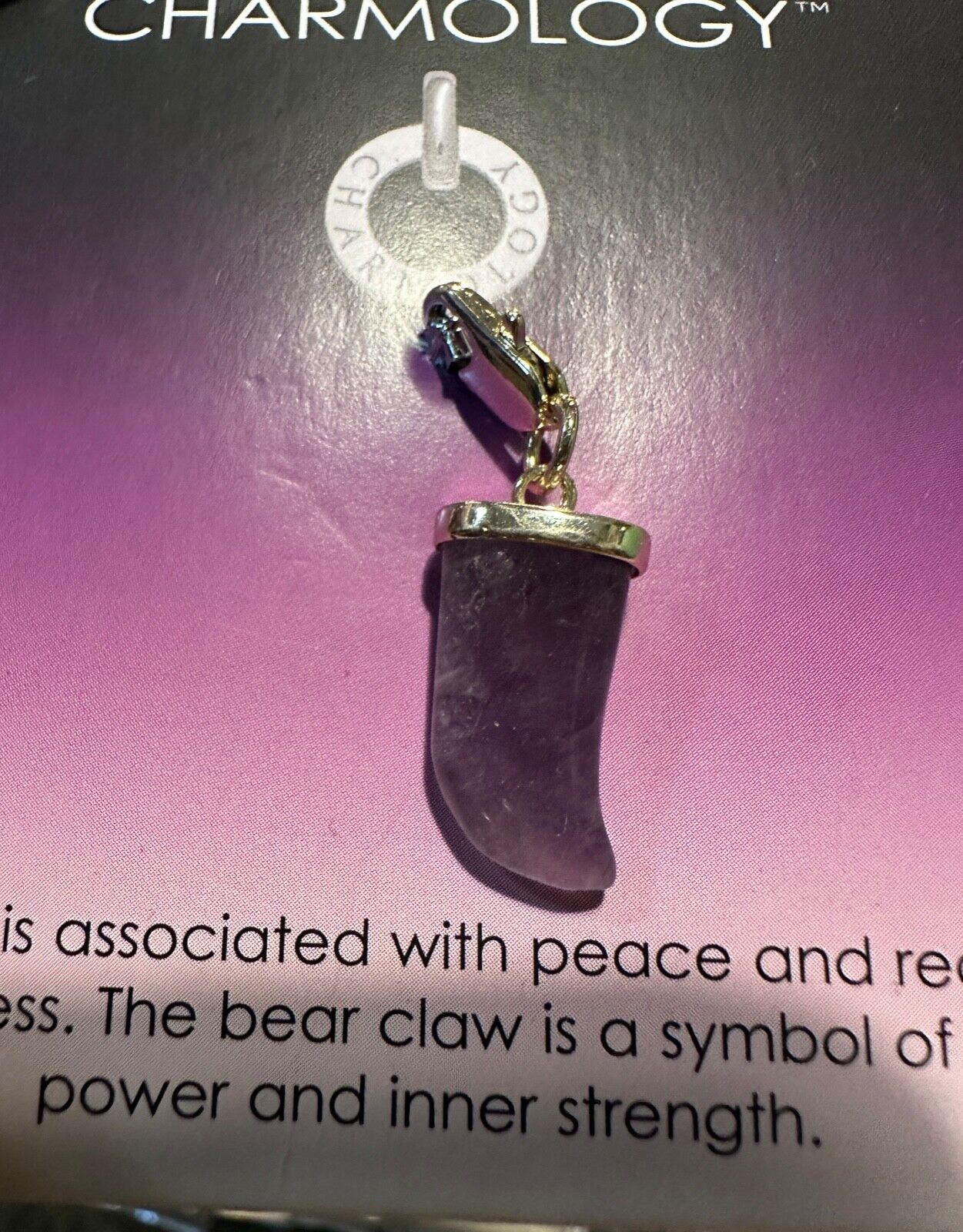 AMETHYST BEAR CLAW CHARM CHARMOLOGY BRACELET BIRTHSTONE PURPLE NEW