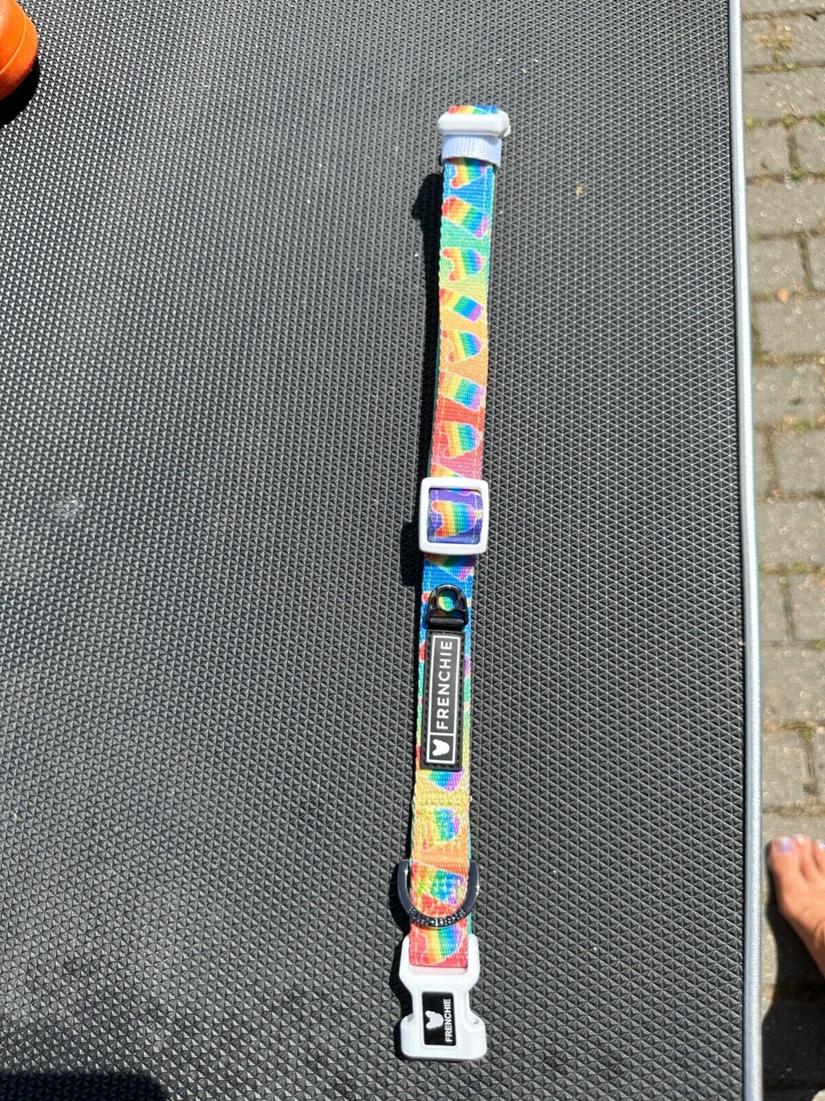 FRENCHIE DOG COLLAR SIZE LARGE LOLLIPOP MULTI COLOURED PATTERN BRAND NEW