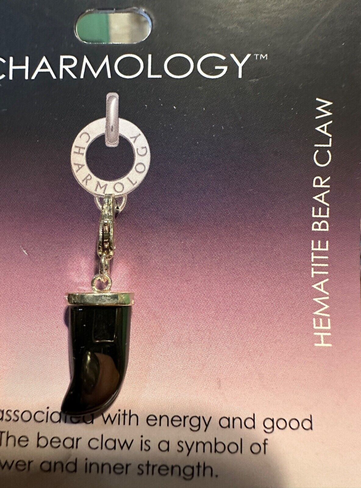 HEMATITE BEAR CLAW CHARM CHARMOLOGY BRACELET BIRTHSTONE BLACK NEW