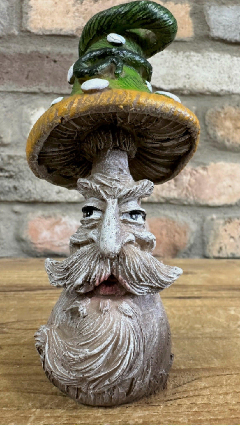 SET OF 4 COMICAL MUSHROOM FACE PEOPLE COLOURFUL TOADSTOOLS OUTDOOR NEW & BOXED
