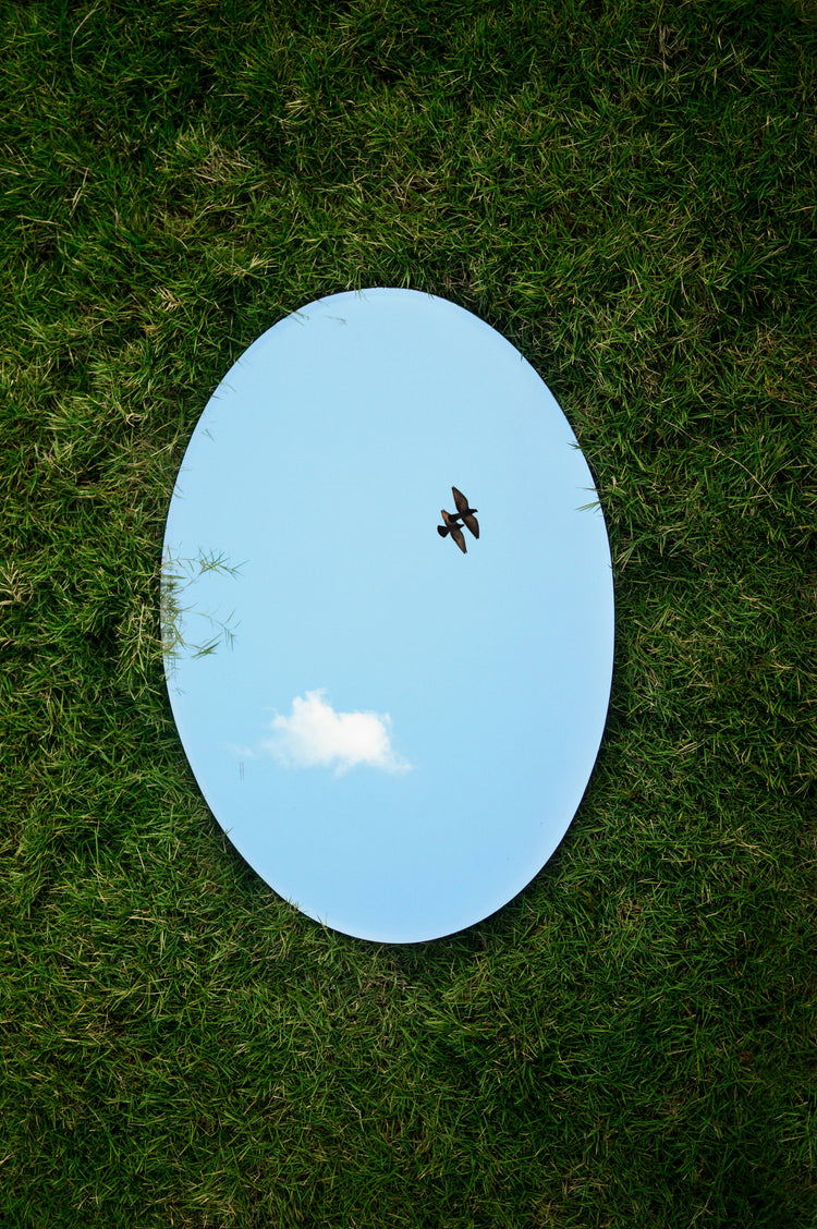 A mirror lying on grass, reflecting a bird flying in the sky