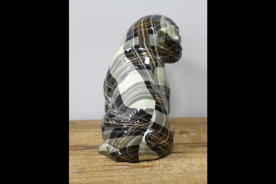 Tartan Dog