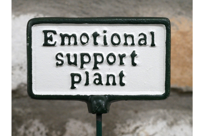 Plant Sign - Emotional Support