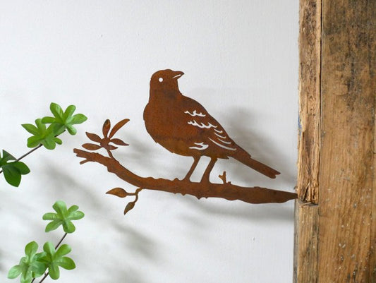 Bird Spike