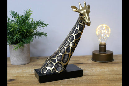 Giraffe Head (M)