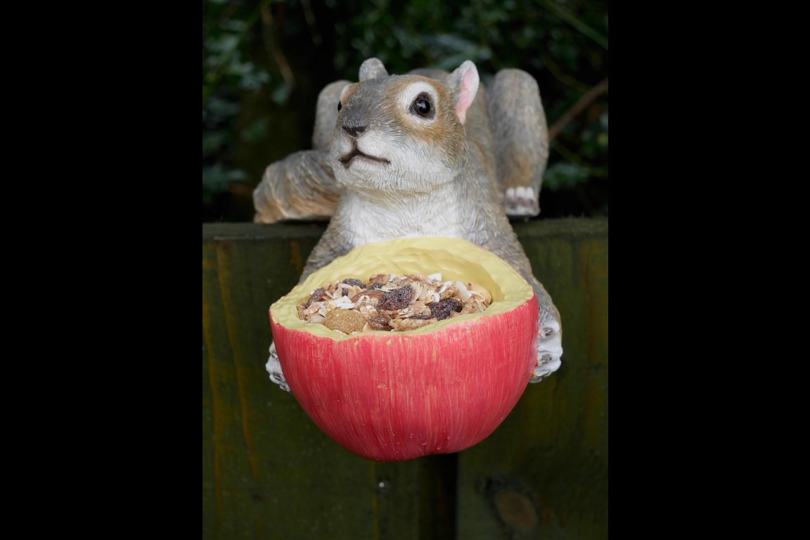 Squirrel Feeder