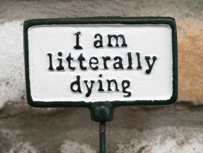 Plant Sign - Litterally Dying