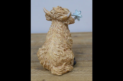 Highland Cow With Flower In Mouth