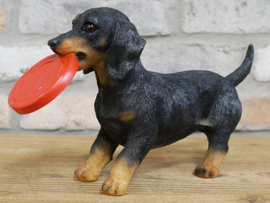 Dog Carrying Frisbee