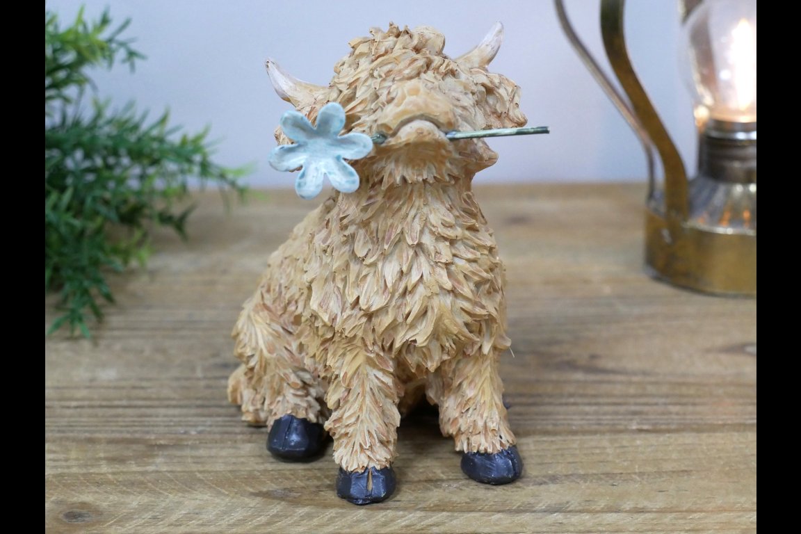 Highland Cow With Flower In Mouth