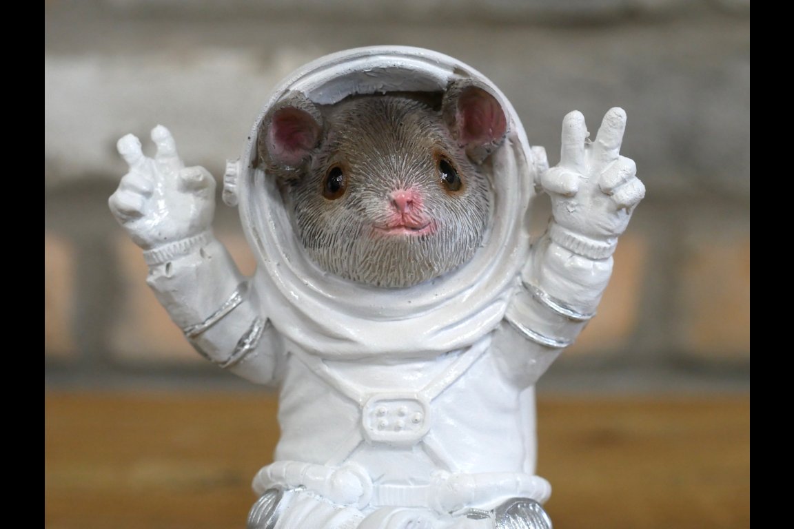 Mouse On Cheese Moon