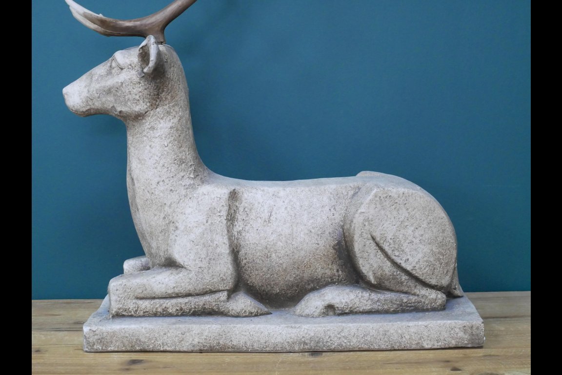 Deer