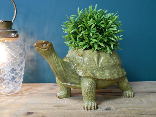 Tortoise Planter