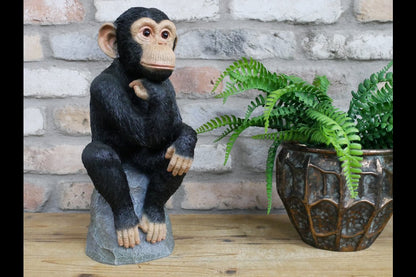 Monkey Thinking