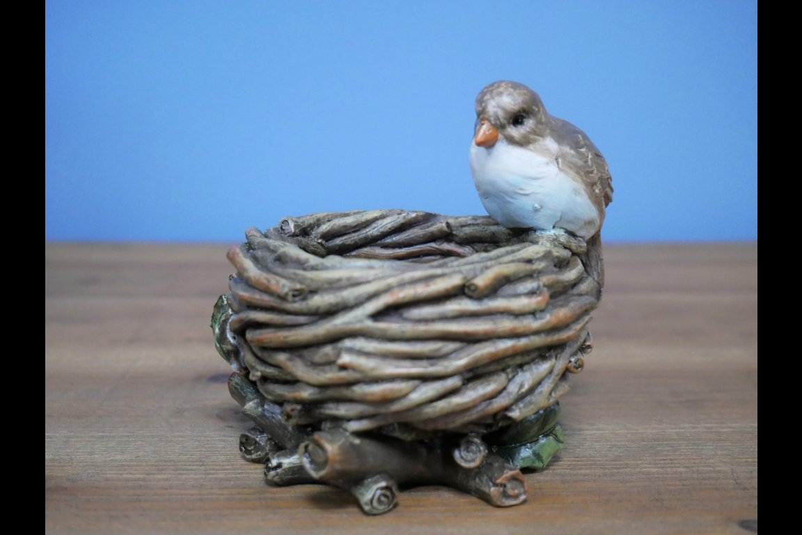 Bird Nest Bowl
