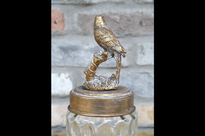 Bird Jar