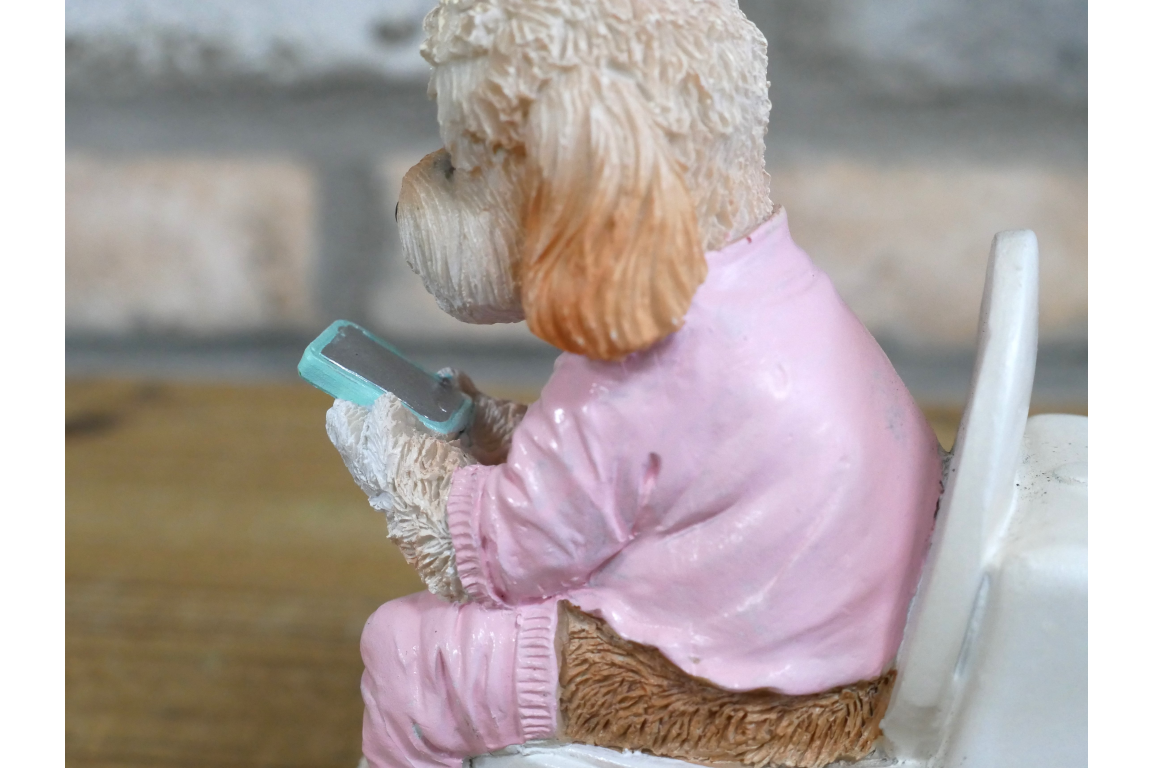 Dog On The Loo