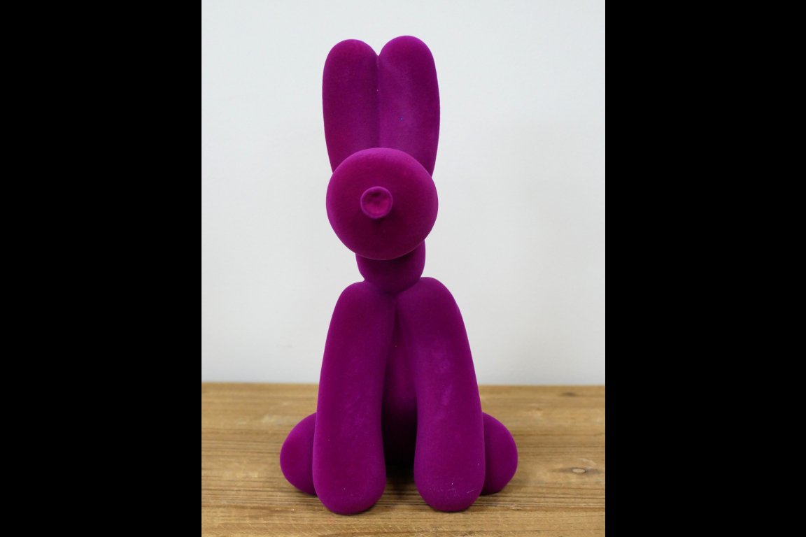 Purple Dog