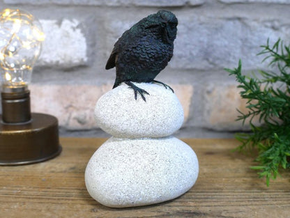 Bird Stood On Pebbles