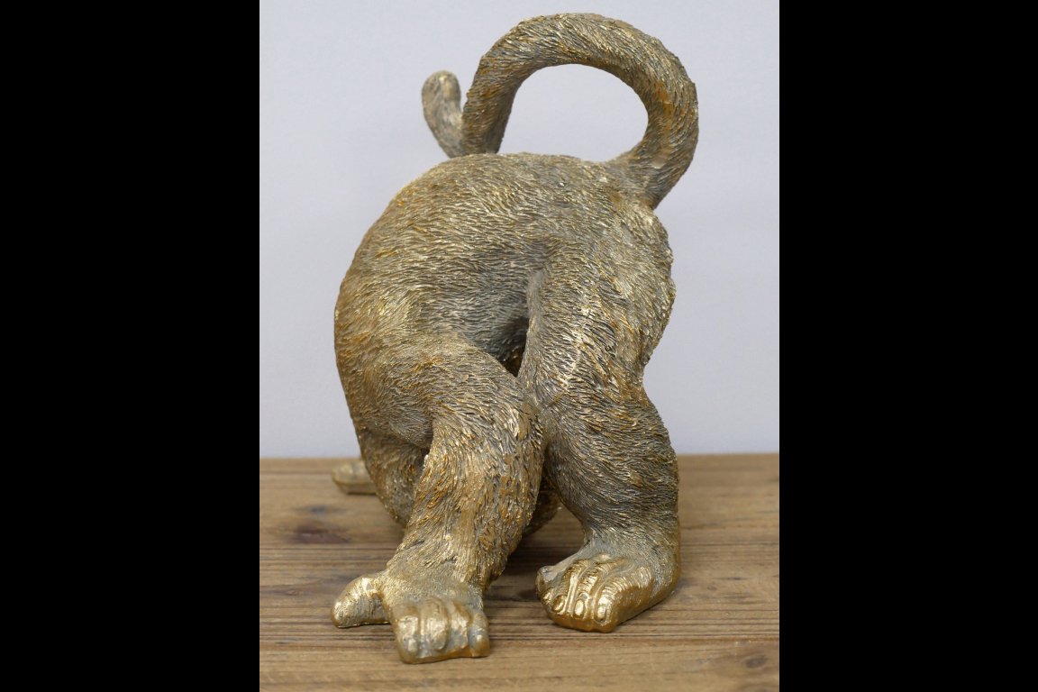 Clean Plums Monkey