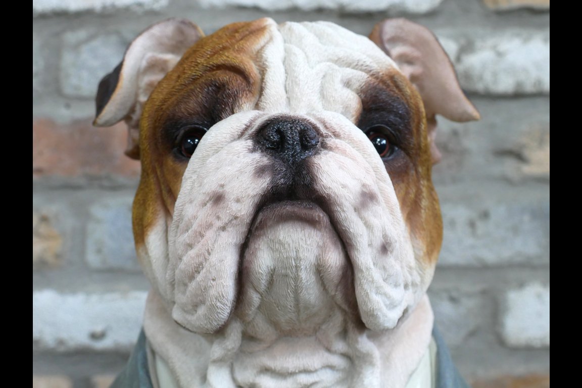 Large Bulldog Bust