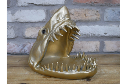 Shark Dish