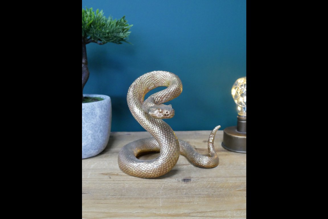 Snake