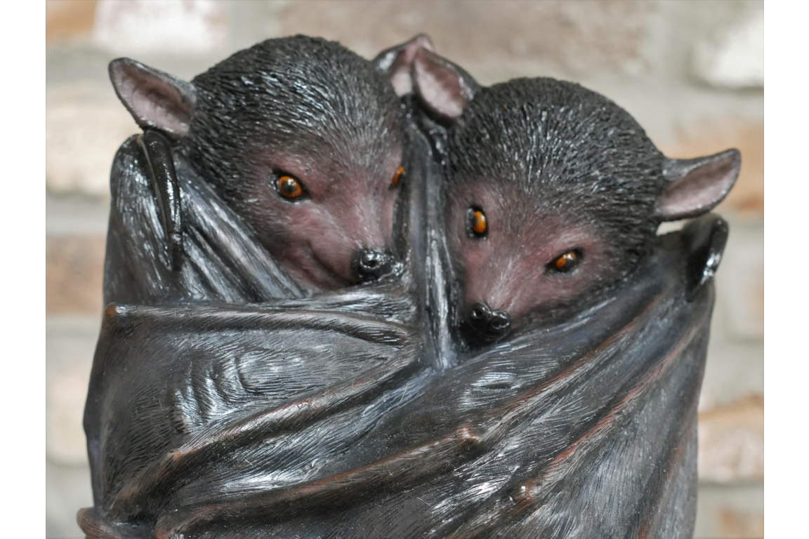 Hanging Bats