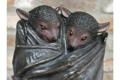 Hanging Bats
