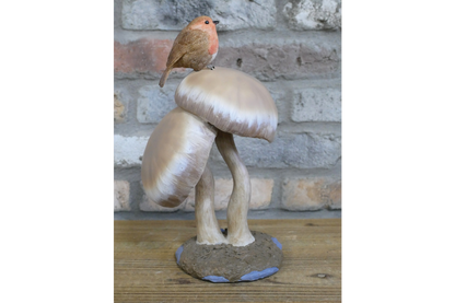 Robin On Top Of Mushrooms