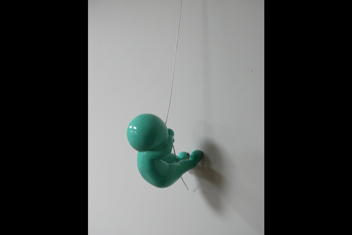 Abseiling Ball Head