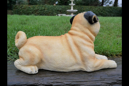 Laying Dog