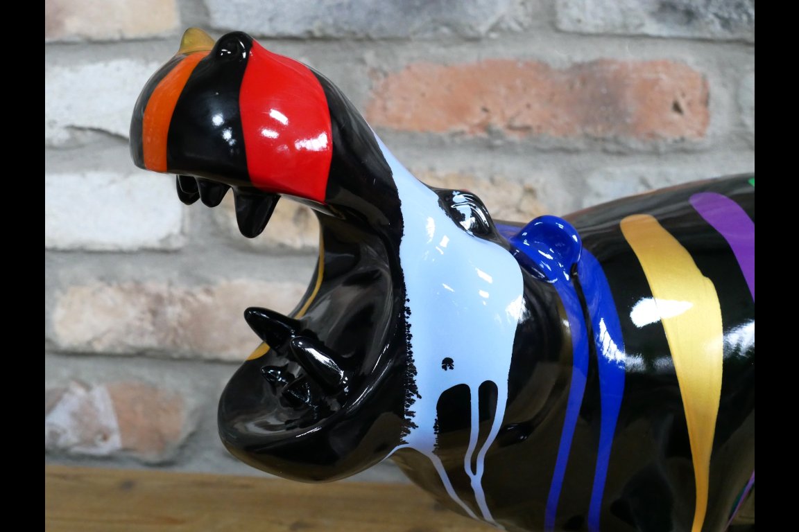Multi Colour Hippo