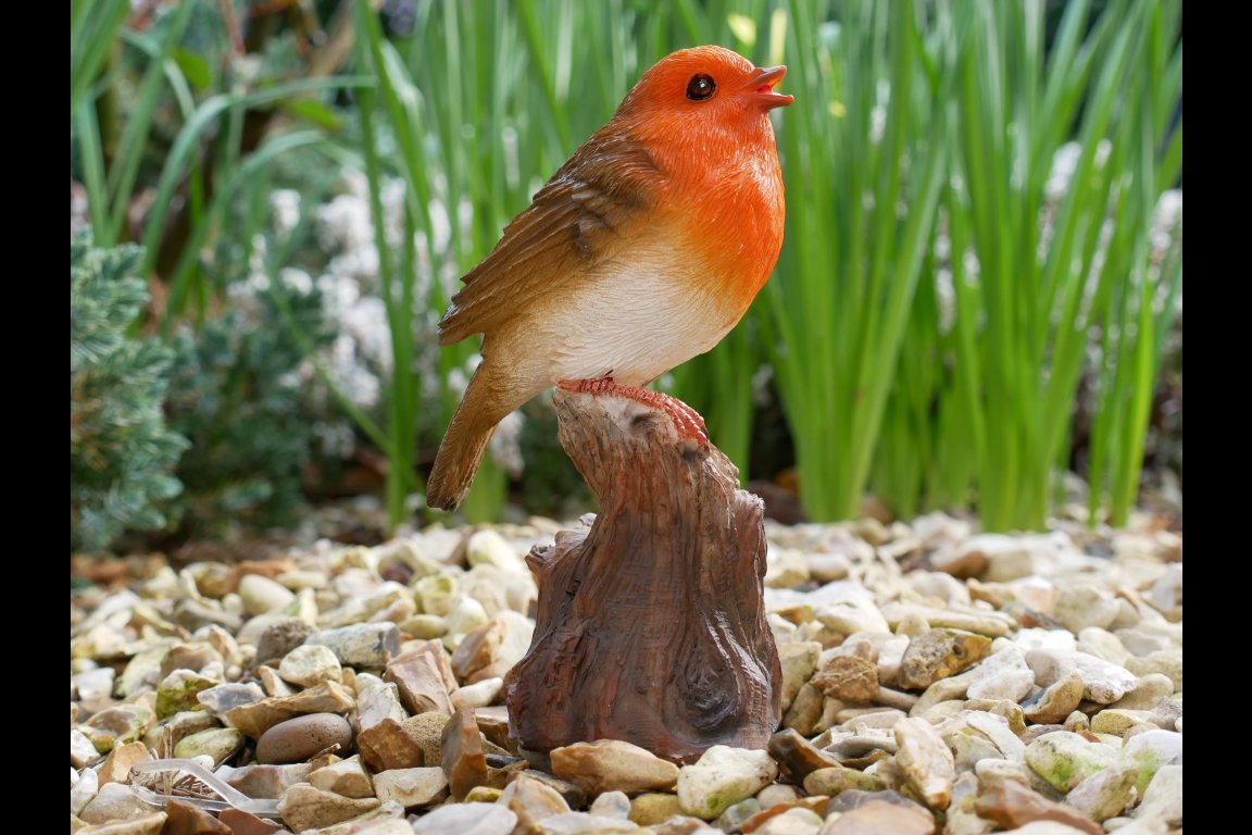 Tweeting Bird