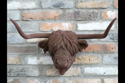 Cow Head