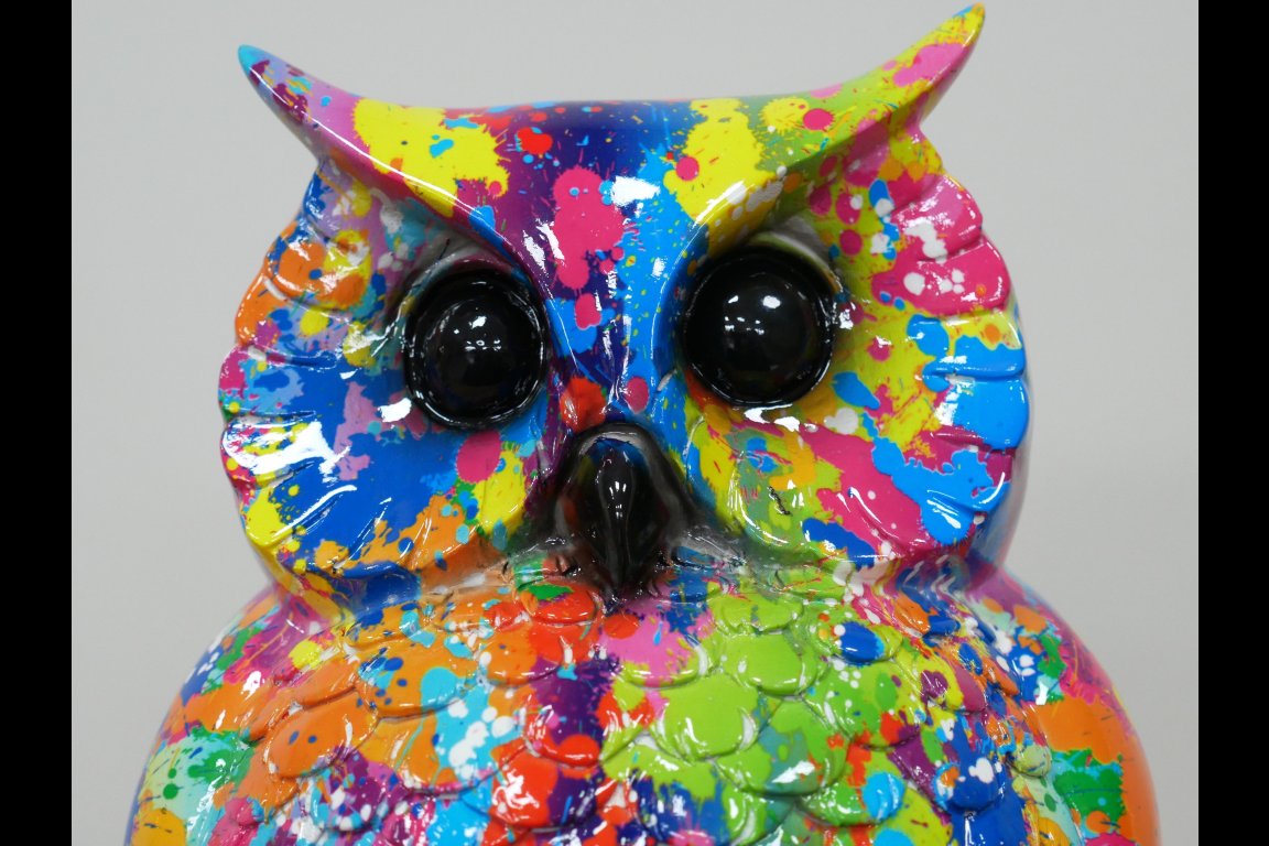 Colourful Owl