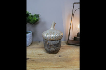 Acorn