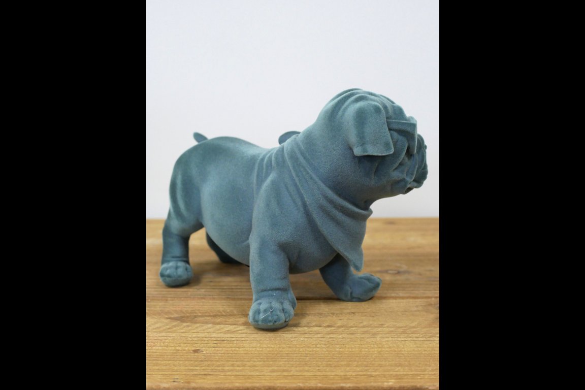Blue Dog