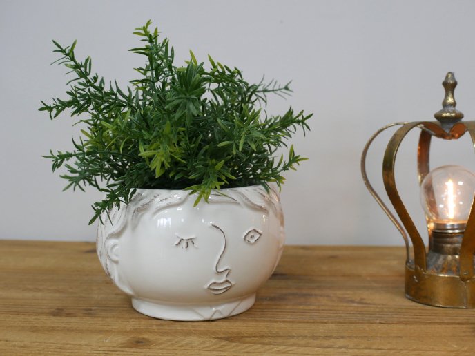 Face Vase